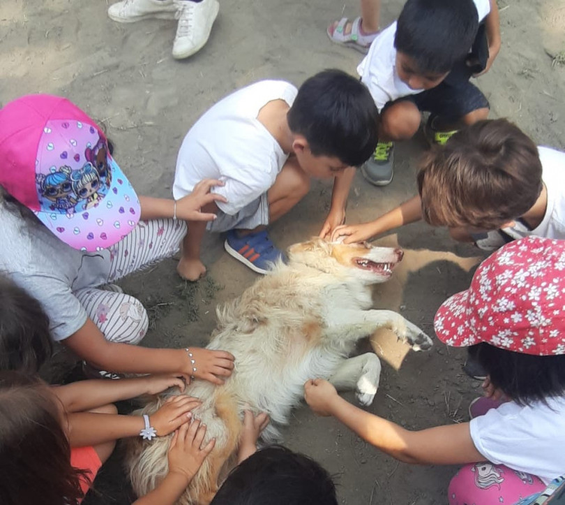 Centri estivi comunali: fino al 22 luglio la prima parte e poi appuntamento a settembre